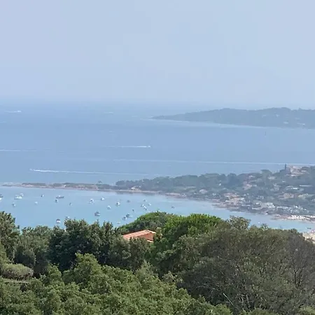 Rose Golfe De Saint Tropez Sainte-Maxime